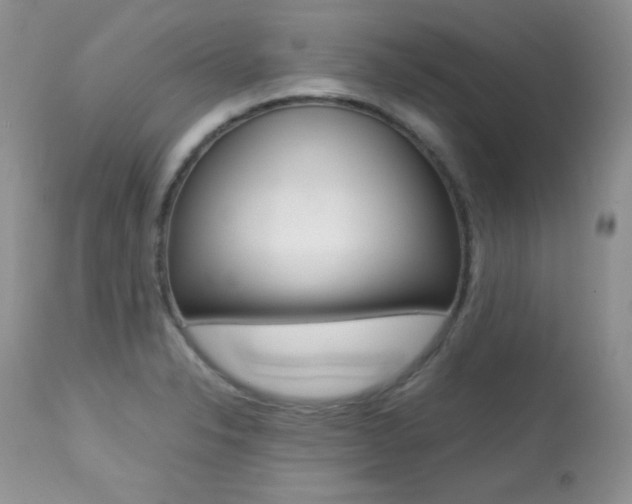 X0000113641326200909181320
