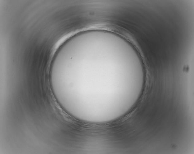 X0000113641328200909181320