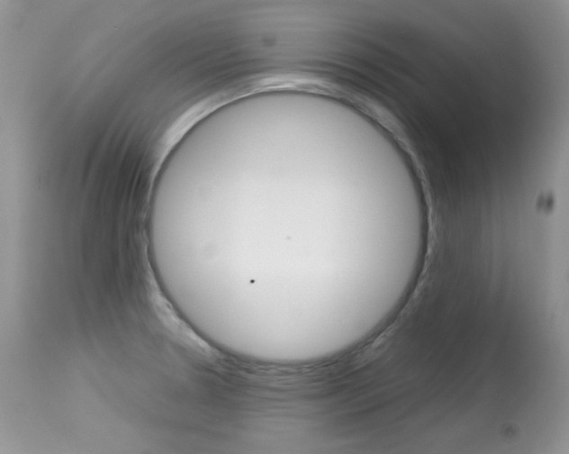 X0000113641330200909181320