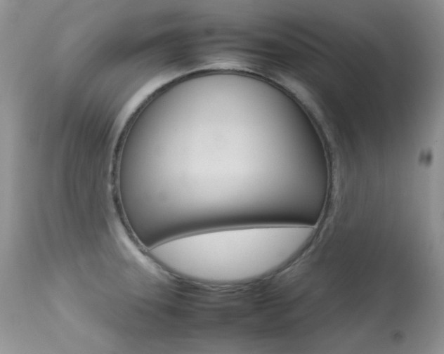 X0000113641331200909181320