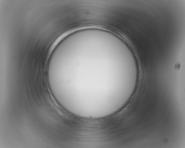 X0000113641332200909181320