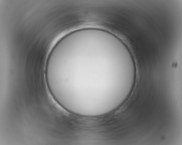 X0000113641334200909181320