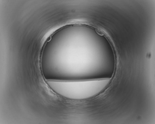 X0000113641336200909181320