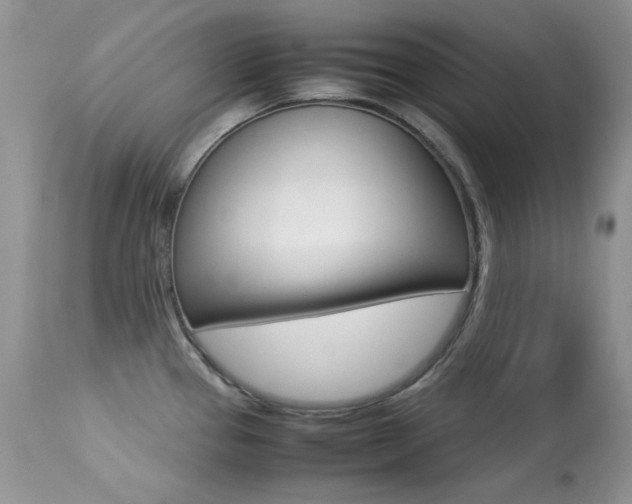 X0000113641337200909181320