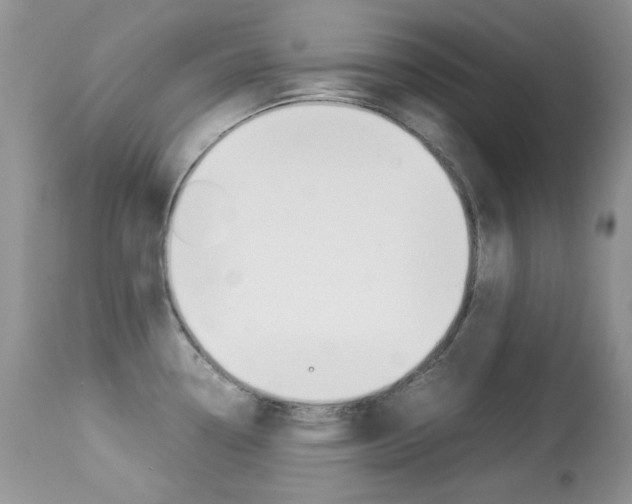 X0000113641338200909181320