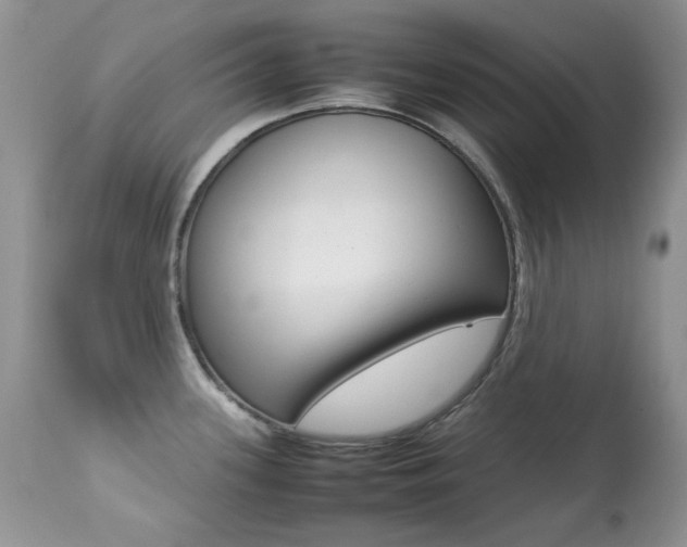 X0000113641339200909181320