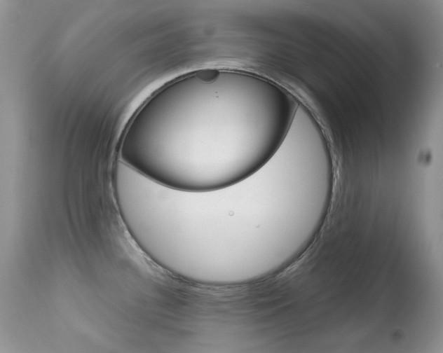 X0000113641340200909181320