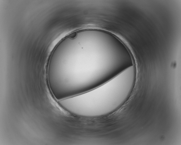 X0000113641341200909181320