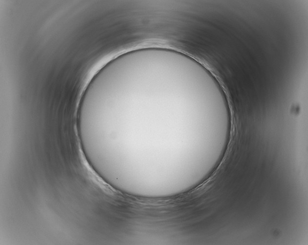 X0000113641342200909181320