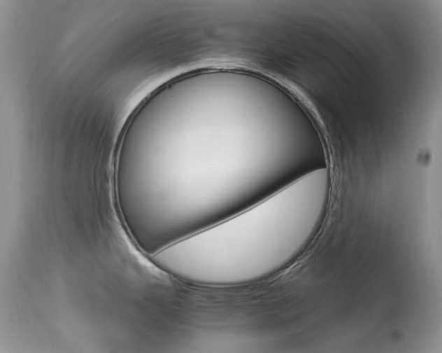 X0000113641343200909181320