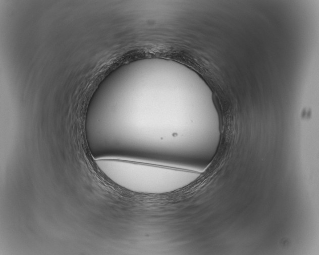 X0000113641345200909181319