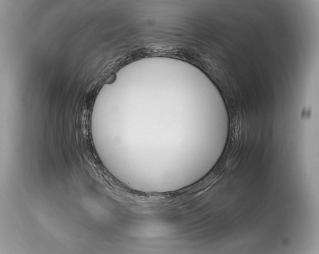 X0000113641346200909181319
