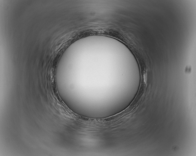 X0000113641347200909181319
