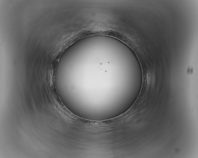 X0000113641348200909181319