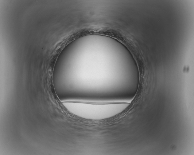 X0000113641349200909181319