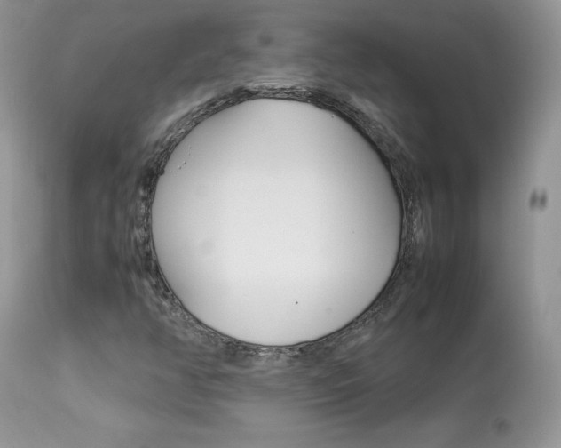 X0000113641350200909181319