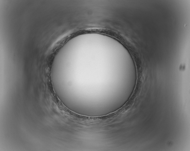 X0000113641351200909181319