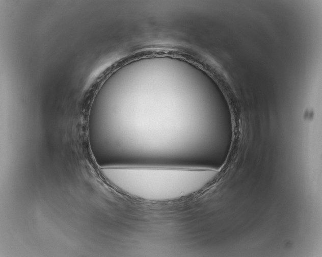 X0000113641352200909181319