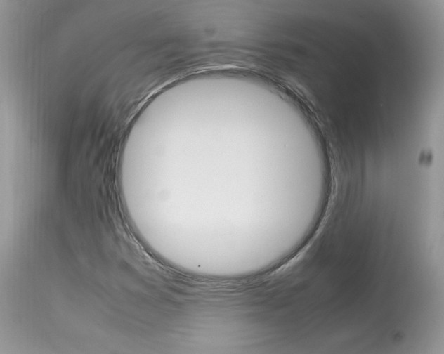 X0000113641353200909181319