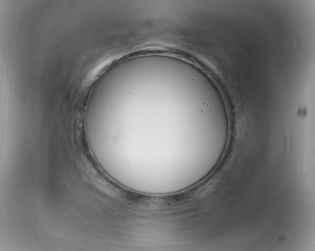X0000113641355200909181319