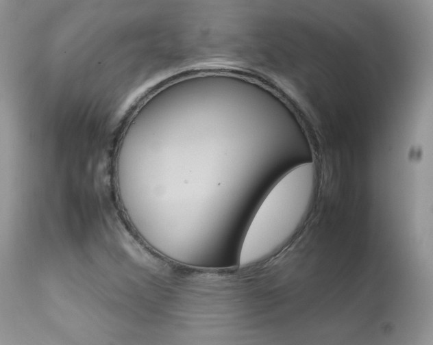 X0000113641356200909181319