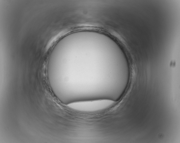 X0000113641357200909181319