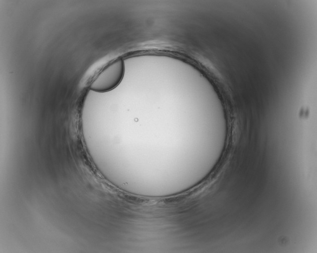 X0000113641358200909181319