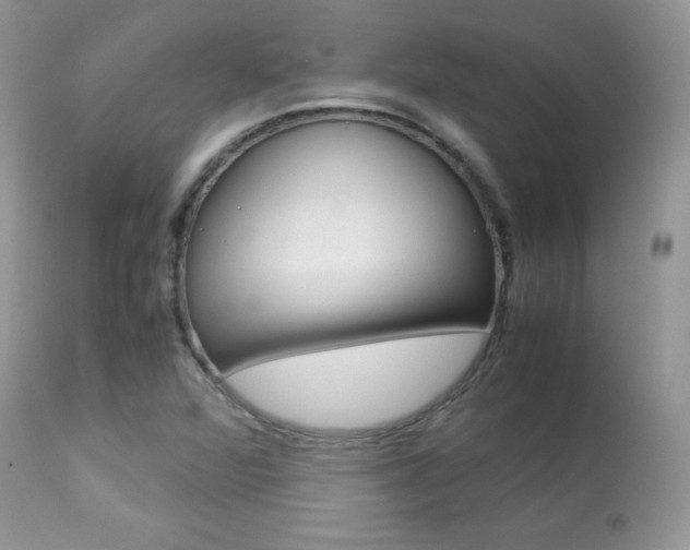X0000113641360200909181319