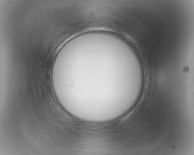 X0000113641361200909181319