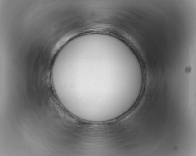 X0000113641362200909181319