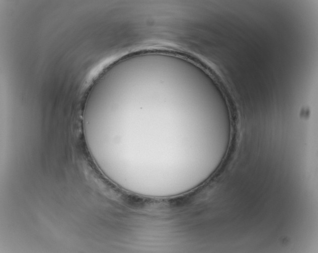 X0000113641363200909181319