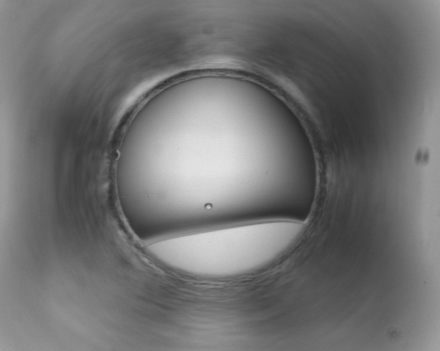 X0000113641364200909181319