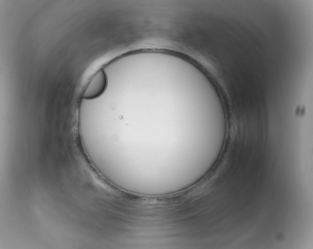 X0000113641366200909181319