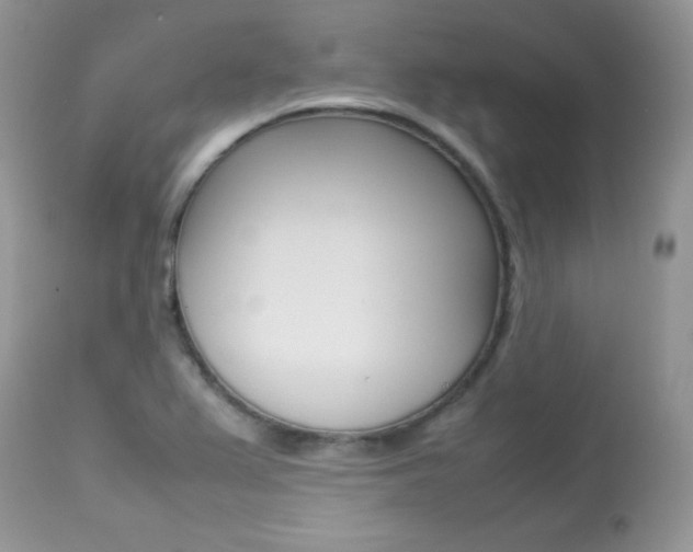 X0000113641367200909181319