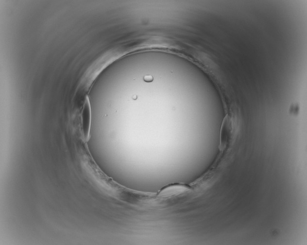 X0000113641369200909181319