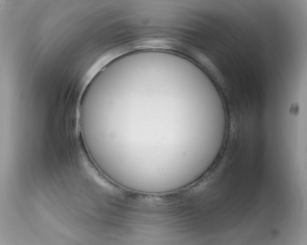 X0000113641370200909181319