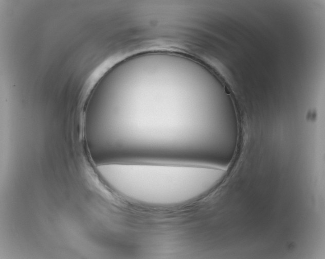 X0000113641371200909181319