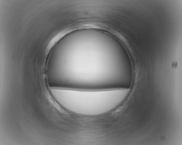 X0000113641373200909181319
