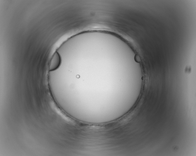 X0000113641374200909181319