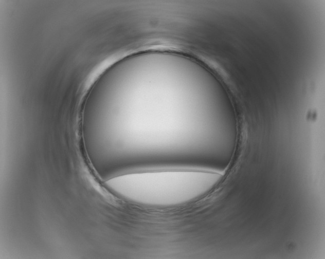 X0000113641375200909181319