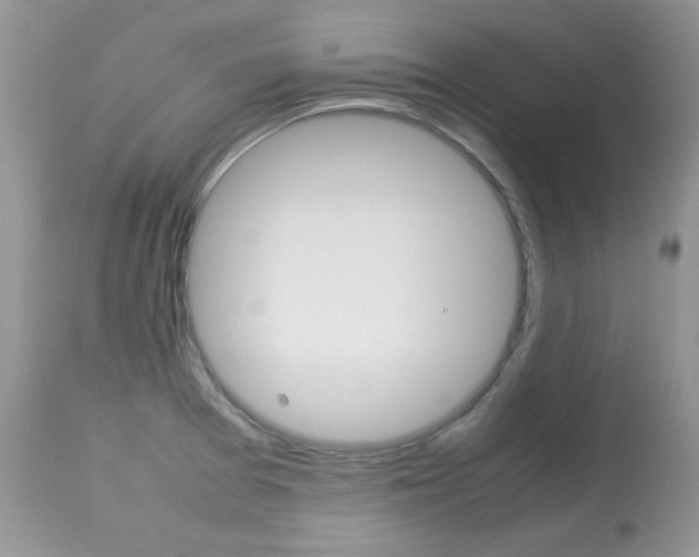 X0000113641377200909181319