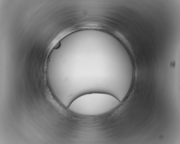 X0000113641378200909181318