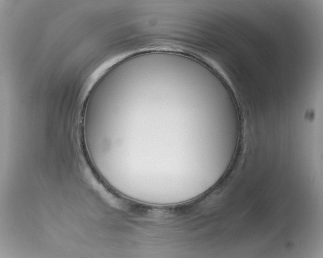 X0000113641379200909181318