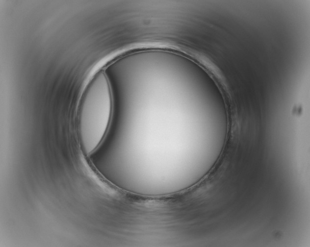 X0000113641380200909181318