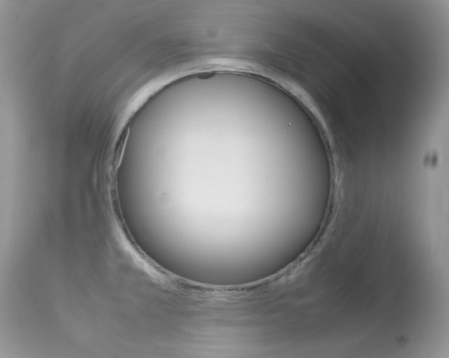 X0000113641381200909181318