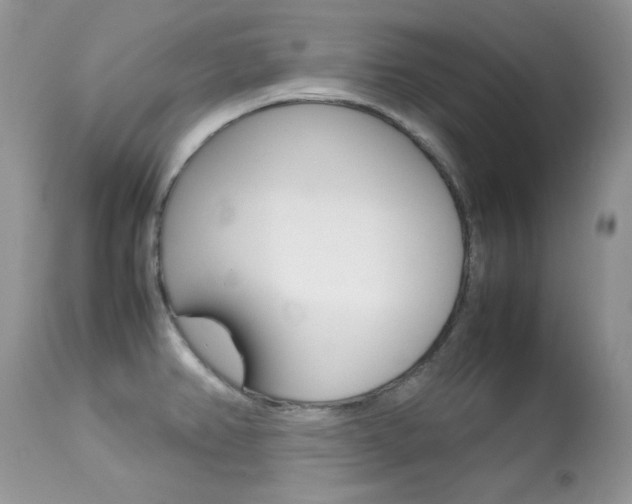X0000113641382200909181318