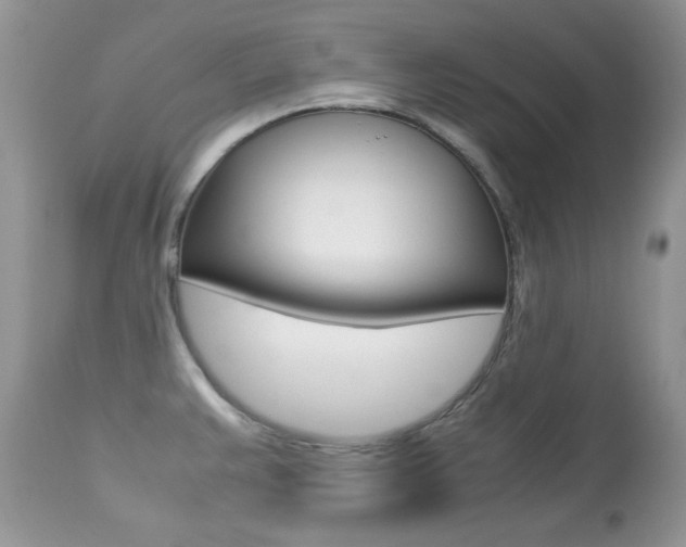 X0000113641383200909181318
