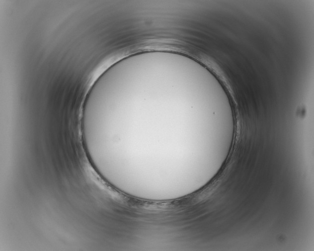 X0000113641386200909181318