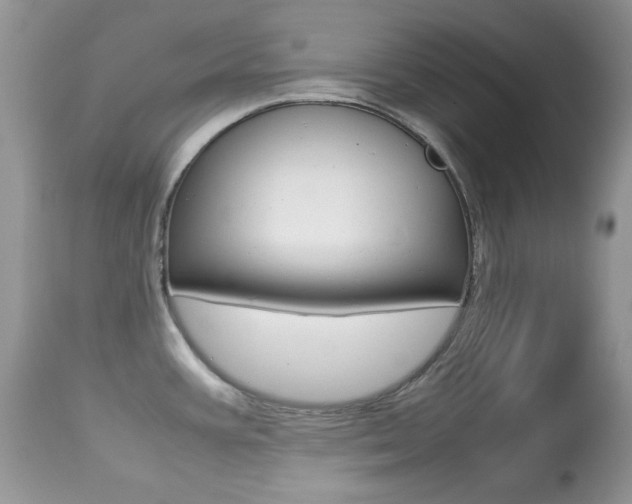 X0000113641387200909181318