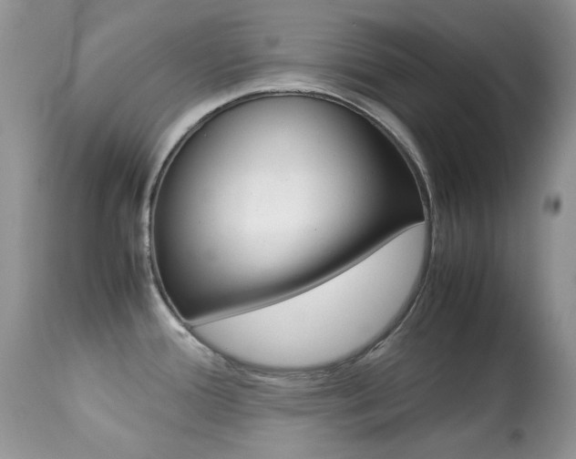 X0000113641388200909181318